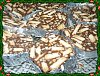 Eu Fiz Salame Natal�cio-p1000214.jpg