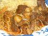Eu Fiz Carne Guisada com Rebentos de Soja-carne-guisada-sonia.jpg