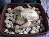 Eu Fiz Frango � Maricas-foto0661.jpg