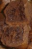 Eu Fiz Bolo de Chocolate Maravilha (Muffins)-3.jpg