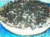 Eu Fiz Banoffee Pie-05022002.jpg