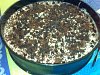 Eu Fiz Banoffee Pie-05022001.jpg