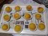 Eu Fiz Bolinhos R�pidos de Laranja-p190211_18.10.jpg