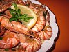 Eu Fiz Camar�es Fritos com Cerveja-img_5867.jpg