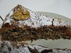 Eu Fiz Bolo de Chila com Nozes-img_3923.jpg