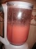 Eu Fiz Smothie de Morango-gedc1223.jpg