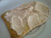 Eu Fiz Pat� de Atum-pateatum04-2011.jpg