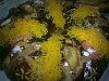Eu Fiz Bolo Rei-24122010276.jpg