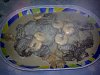 Eu Fiz Bifes do Lombo com Molho de Camar�o-12032011309.jpg