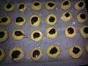 Eu Fiz Bolachinhas de Manteiga com Doce de Cereja-13032011313.jpg