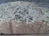Eu Fiz P�o com Sementes na M�quina-img010.jpg