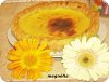 Eu Fiz Tarte de Natas III-natao.jpg