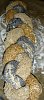Eu Fiz P�o 3 Sementes (Tran�a) - MFP-5.jpg