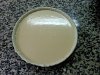 Eu Fiz Tarte de Requeij�o III-tarte-requeijao.jpg