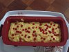 Eu Fiz Bolo de Groselhas com Farinha de Milho-dscn1853.jpg