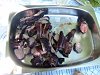 Eu Fiz Churrasco de Porco com Arroz de Feij�o-sl744110.jpg