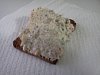 Eu Fiz Pat� de Delicias do Mar com Cogumelos-img20110619_002.jpg