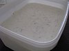 Eu Fiz Gelado Delicioso-img_0803.jpg