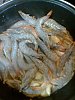 Eu Fiz Camar�es Fritos com Cerveja-01072011135.jpg