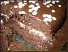 Eu Fiz Bolo Cocada de Chocolate-p1000936.jpg