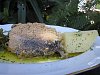 Eu Fiz Pescada Panada no Forno-img_0302.jpg