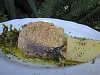 Eu Fiz Pescada Panada no Forno-img_0305.jpg
