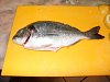 Eu Fiz Peixe ao Sal-peixe-ao-sal-1.jpg
