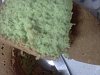 Eu Fiz Bolo de Agri�o-img20110808_006.jpg