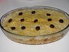 Eu Fiz Arroz de Galinha no Forno-img_1184.jpg