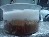 Eu Fiz Doce de Chocolate Bolacha e Natas-dsc00464.jpg