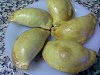 Eu Fiz Pasteis de Carne-12082011741.jpg