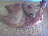 Eu Fiz Arroz de Frango no Forno II - F�cil e Simples-frango-si-001.jpg