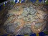 Eu Fiz Bifes do Lombo com Molho de Camar�o-27082011772.jpg