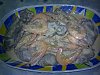 Eu Fiz Bifes do Lombo com Molho de Camar�o-27082011771.jpg