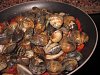 Eu Fiz Am�ijoas com Molho Delicioso-img_0100.jpg