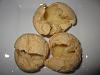 Eu Fiz P�o de Queijo-img_1073.jpg