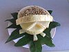 Eu Fiz Creme Delicioso de Mel�o-melao-008.jpg