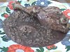 Eu Fiz Arroz de Cabidela II-arroz-cabidela-003.jpg