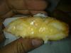 Eu Fiz Rissois de Camar�o-07112011038.jpg