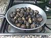 Eu Fiz Castanhas Assadas no Fog�o-castanhas-assadas-001.jpg