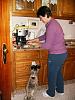 Eu Fiz Bacalhau com Presunto-bacalhau-i.jpg