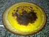 Eu Fiz Tarte de Leite Creme-14112011044.jpg