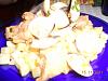 Eu Fiz Carne de Porco � Alentejana-dscn0120.jpg
