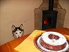 Eu Fiz Bolo de Cenoura-hpim6086.jpg