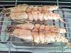 Eu Fiz Camar�o Tigre Grelhado-snc01225.jpg
