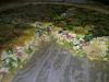 Eu Fiz Tarte de Ervilhas e Salsichas-img.1361.jpg