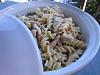 Eu Fiz Fusilli com Frango e Cogumelos-img_0010.jpg
