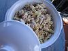 Eu Fiz Fusilli com Frango e Cogumelos-img_0008.jpg