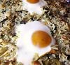Eu Fiz Empad�o Feliz de Arroz e Alheiras-empadao.jpg