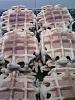 Eu Fiz Favos de Lim�o (Waffles)-30102011873.jpg